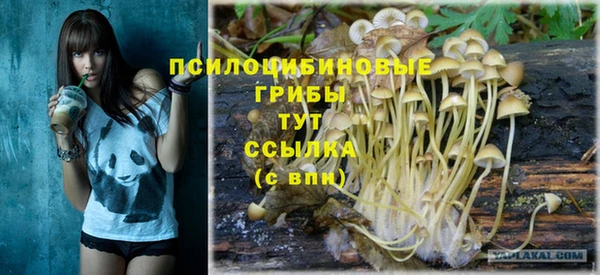 не бодяженный Каменногорск