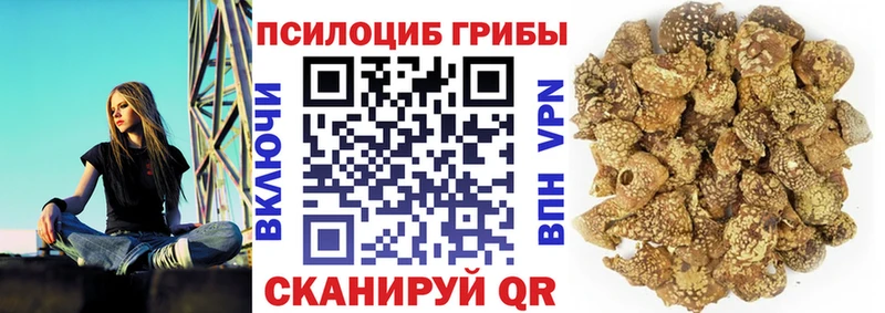 Купить  Белореченск  Галлюциногенные грибы Cubensis 